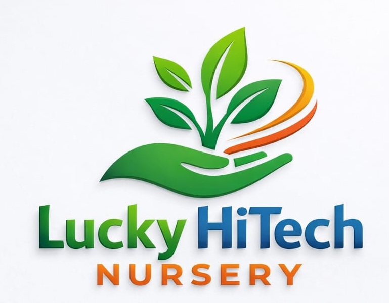 लकी हाई टेक नर्सरी वेबसाइट पर आपका हार्दिक स्वागत है..